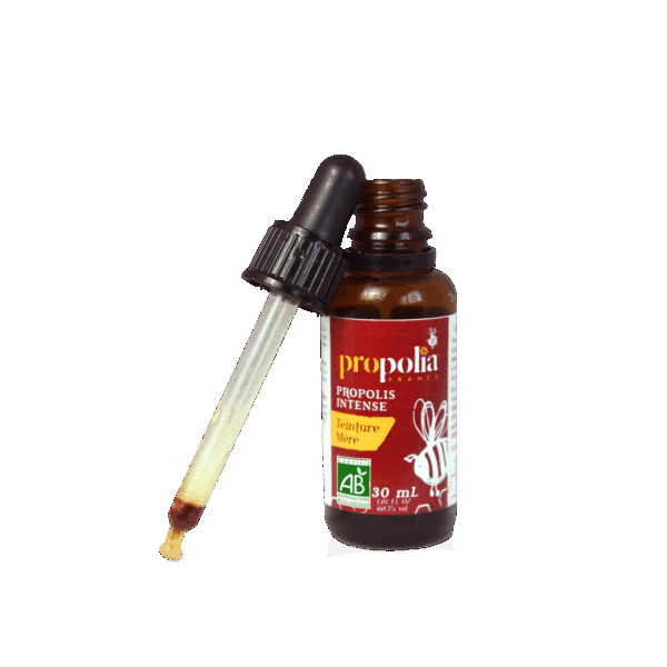 Teinture mère BIO de propolis concentrée à plus de 21%