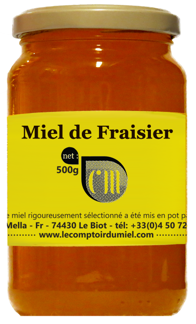 fraisier-500 copy Strawberry Honey