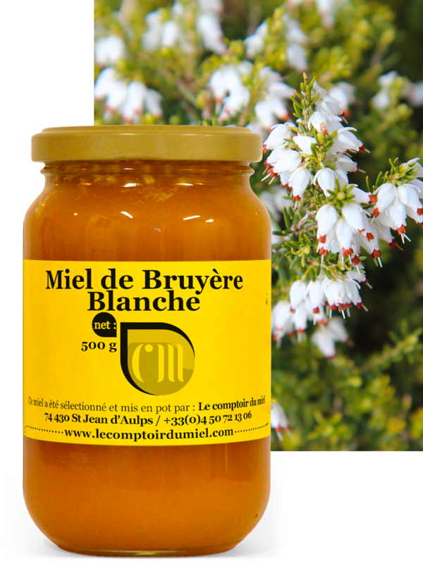 Miel de Bruyère blanche