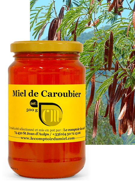 Miel de caroubier