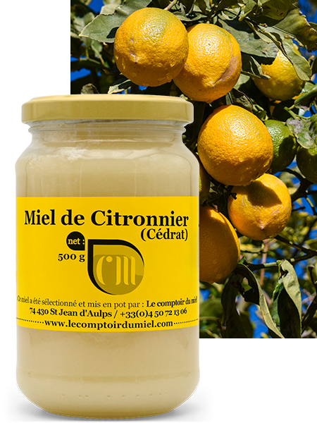 Miel de citronnier de Sicile