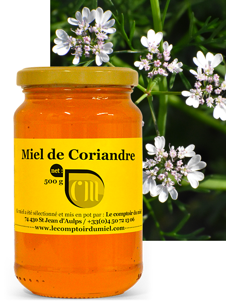 miel-coriandre Miel de coriandre