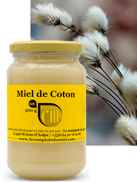 miel-coton Miel de coton