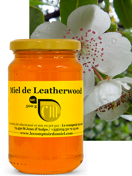 miel-leatherwood Miel de leatherwood