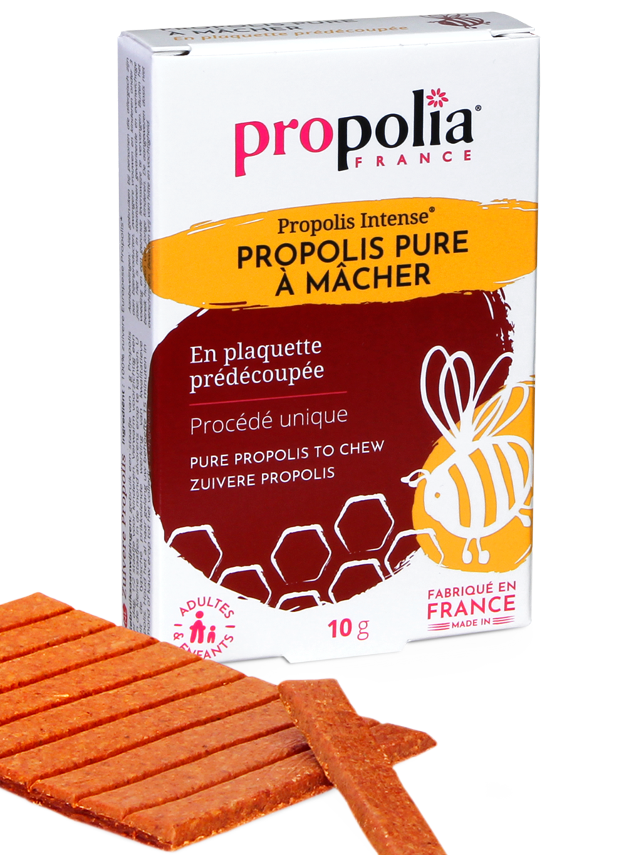 propolis-pure-a-macher-plaquette Propolis pure à mâcher bio : plaquette prédécoupée