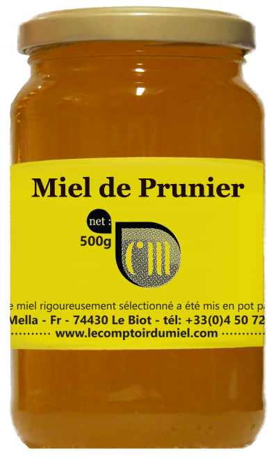plum-500 copy Plum honey
