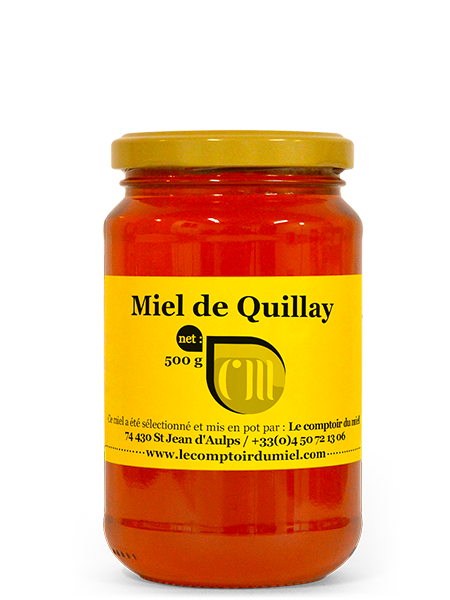 Quillay honey from Chile: 500g