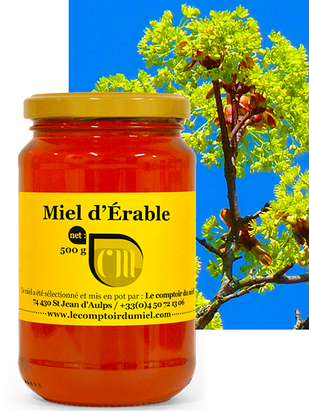 miel-erable Miel d'Érable de France