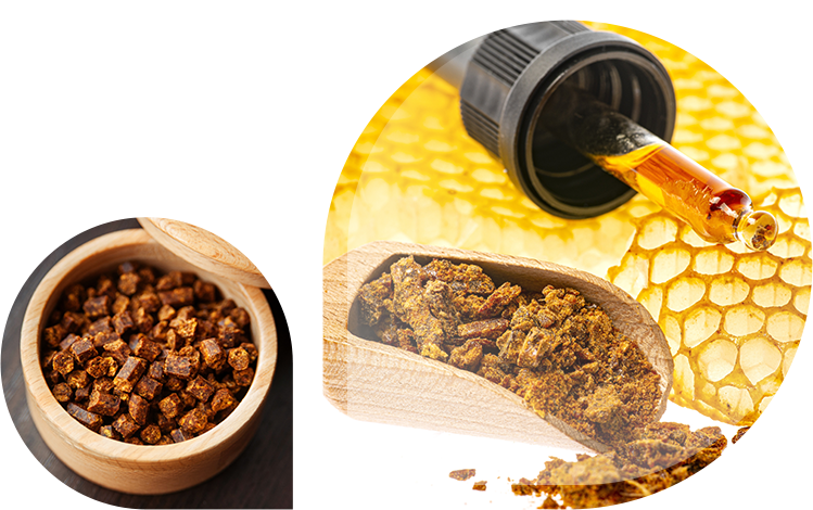 cat-produit-propolis Catégorie produits à la propolis