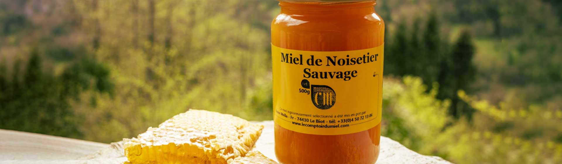 pano-home-noisetier