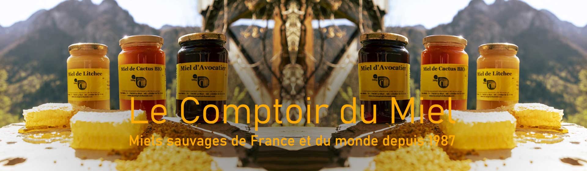 pano-home-titre