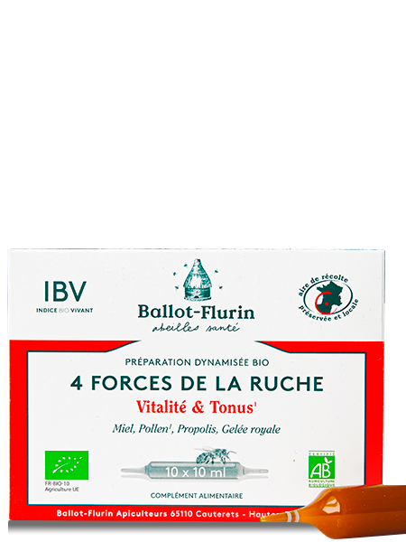 4-forces-ruche 4 Forces de la Ruche