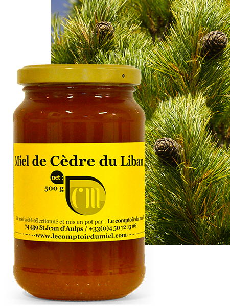 miel-cedre-liban Miel de Cèdre du Liban