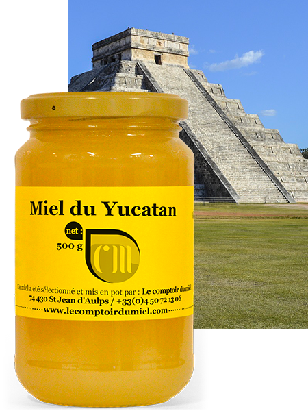 miel-yucatan Miel du Yucatan