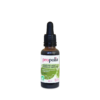 Teinture mère de propolis verte BIO